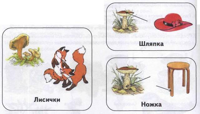 Урок русского языка Многозначные слова