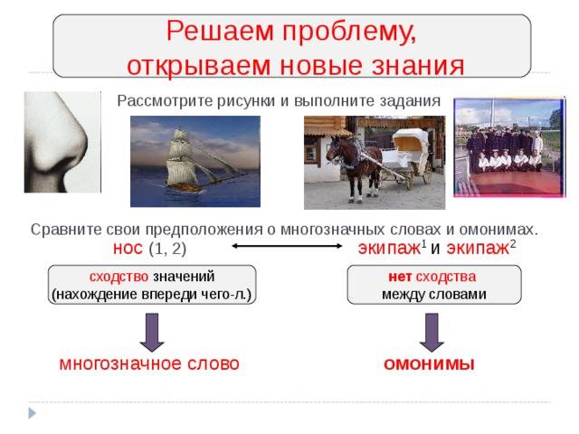 Презентация по русскому языку Омонимы и многозначные слова