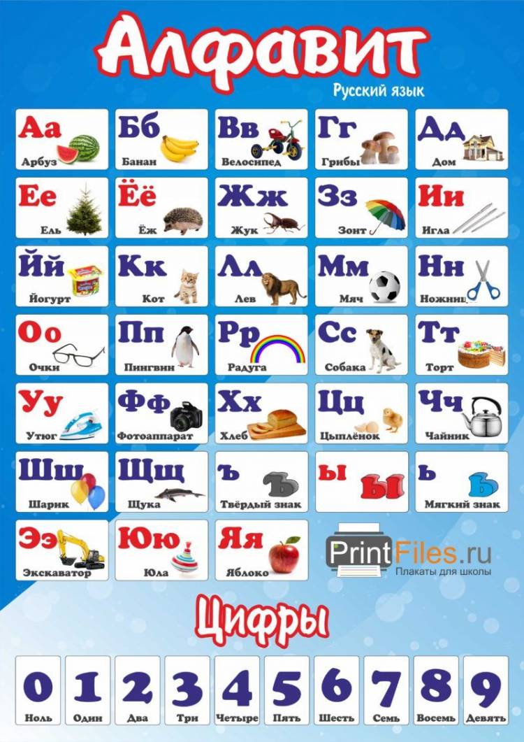 Русский алфавит с картинками
