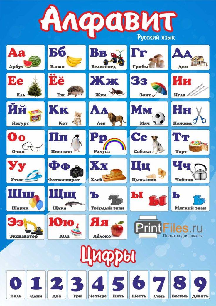 Русский алфавит с картинками