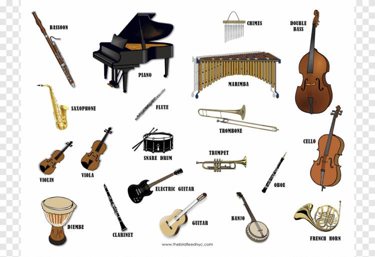 Музыкальный инструмент Струнный инструмент Флейта Музыкант, Рисунки Музыкальных Инструментов, угол, пианино png