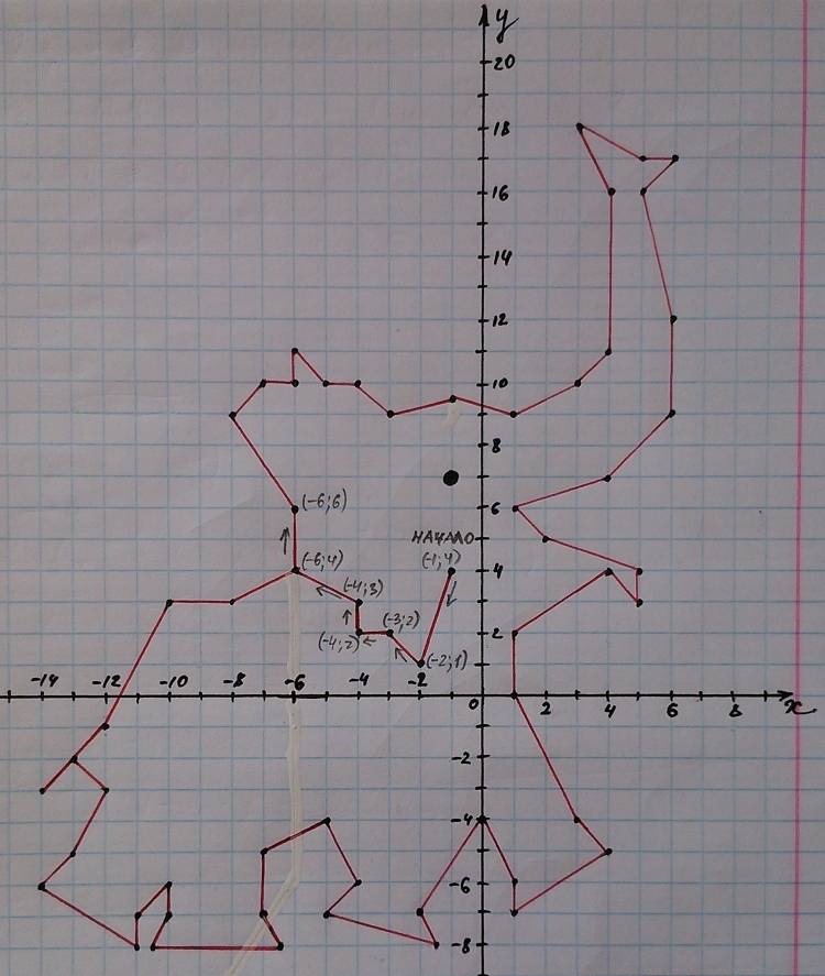 Рисунок животного на координатной плоскости