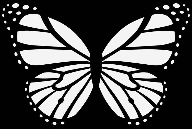 Бабочки рисунок черно белый трафарет