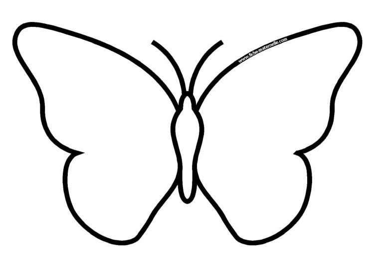 Бабочка контур раскраска