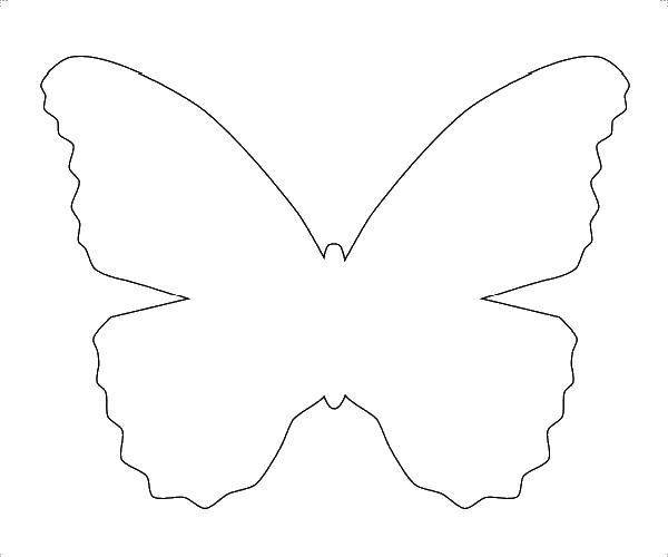 Раскраски Раскраска Шаблон бабочки для вырезания контуры для вырезания бабочек, скачать распечатать раскраски