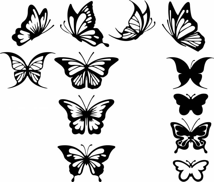 Раскраски силуэт, Раскраска Силуэты бабочек контуры для вырезания бабочек