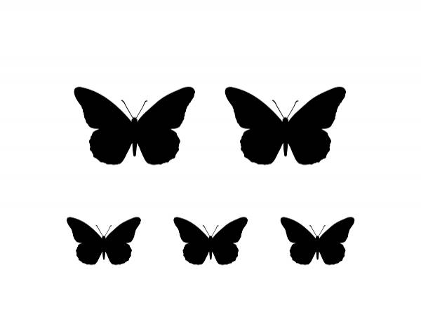 Шаблоны бабочек