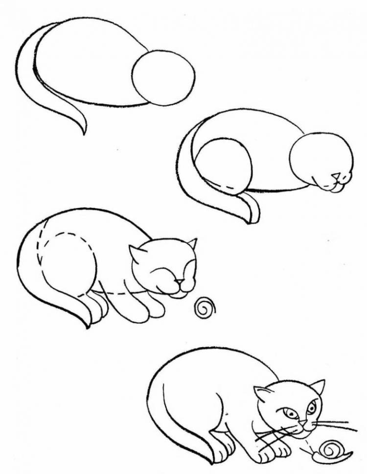 Как нарисовать кошку карандашом