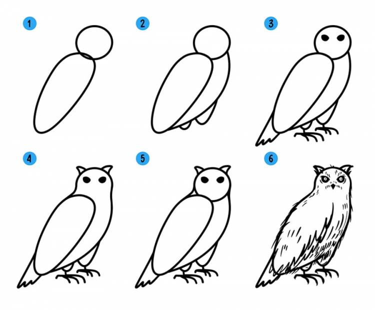 Как нарисовать сову поэтапно для детей » рисуем совушку легко и просто карандашом и красками