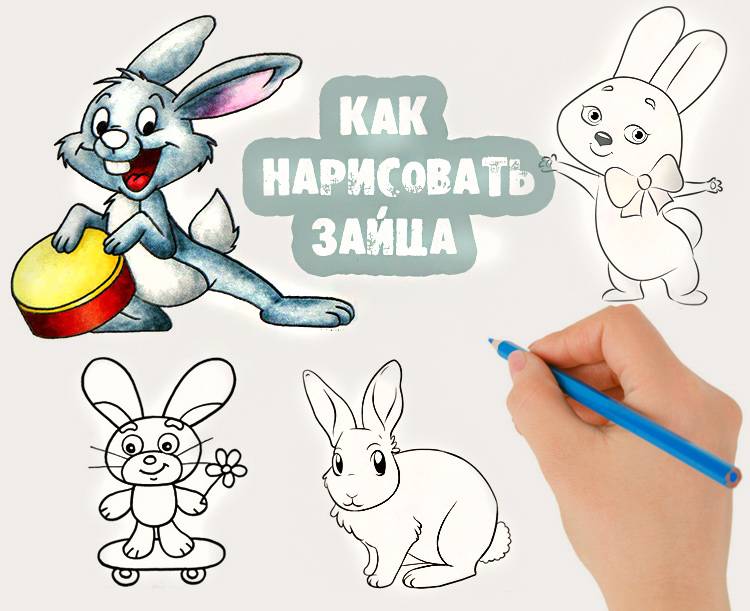 Как нарисовать зайца поэтапно карандашом для начинающих