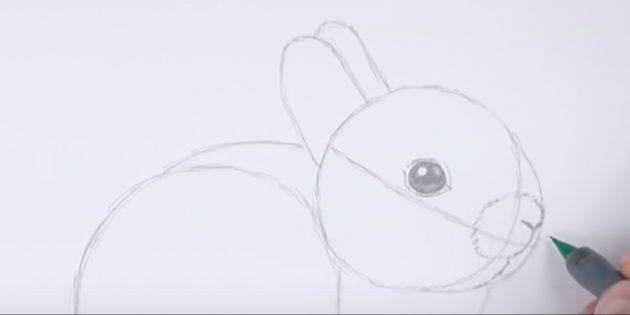 Как нарисовать зайца или кролика