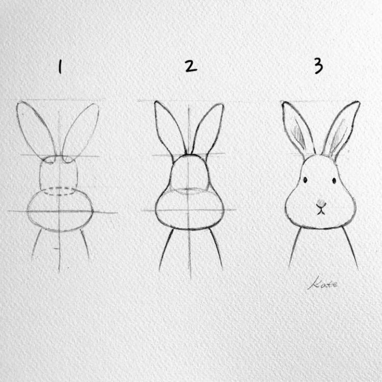 Как нарисовать кролика поэтапно карандашом 