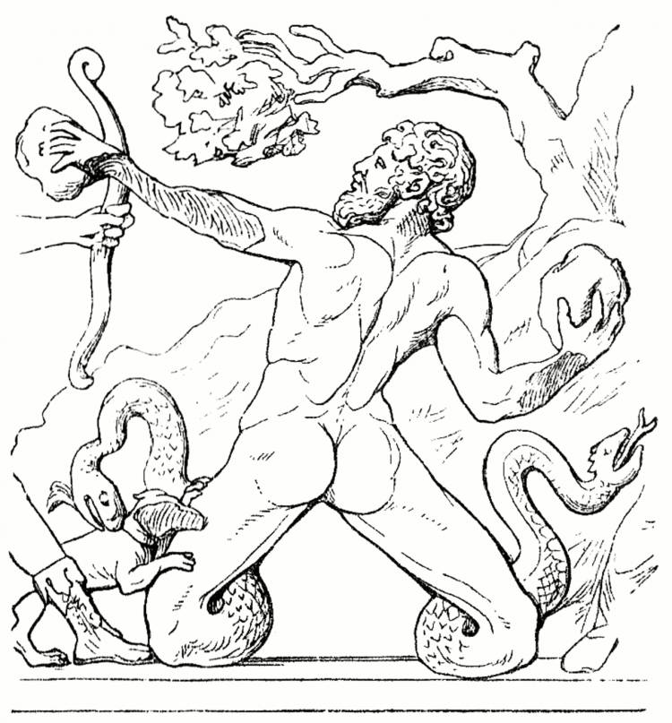 Геракл яблоки гесперид рисунок