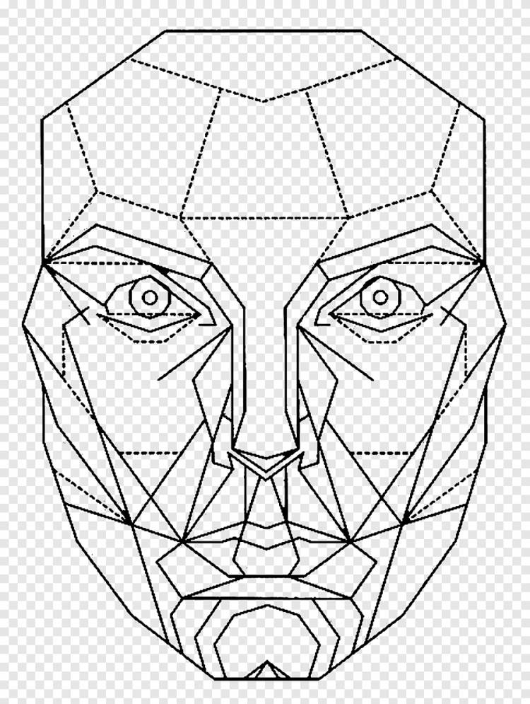 Золотая пропорция пропорция маска для лица, лица, белый, лицо png