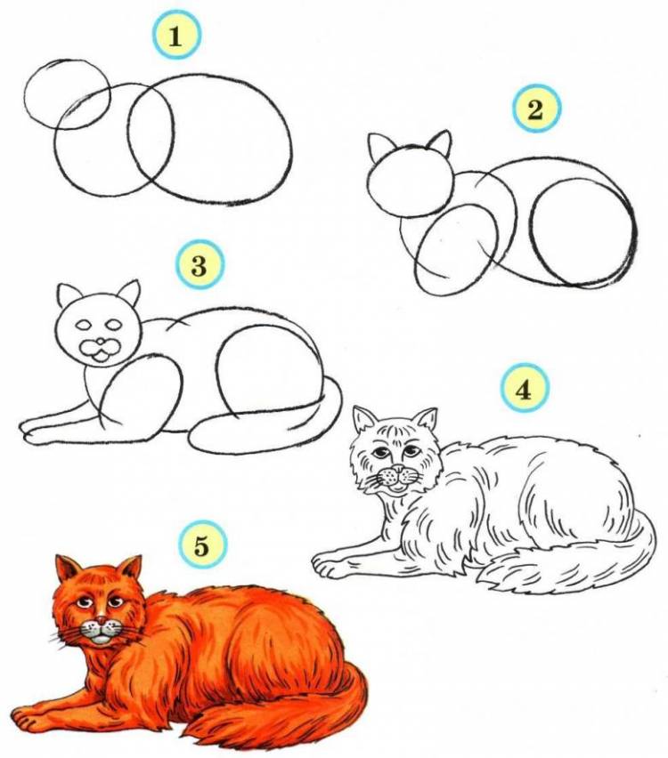 Как нарисовать животных поэтапно карандашом 