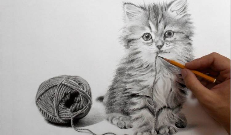Поэтапное рисование карандашом животных детям