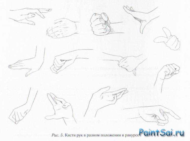 Как рисовать Кисть руки аниме » Cкачать Paint tool SAI бесплатно на русском языке