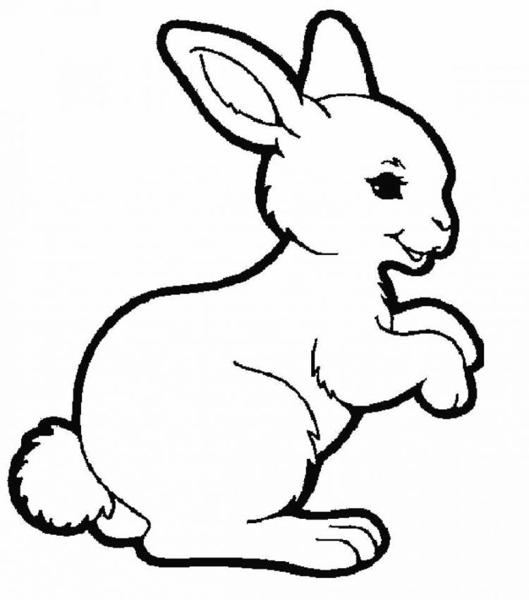 Профиль зайца картинки 
