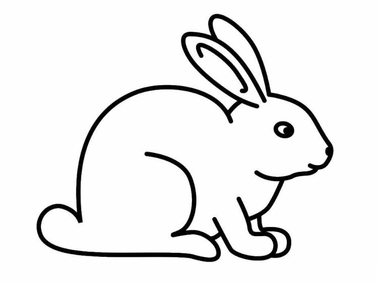 Раскраски Контур зайца для вырезания, Раскраски детские