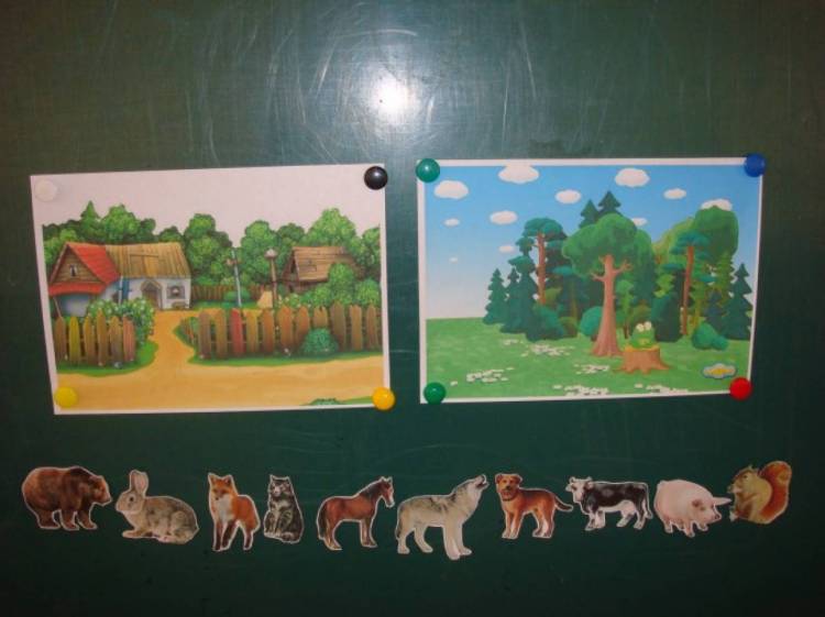Дидактическая игра «Дикие и домашние животные» для детей второй младшей группы 