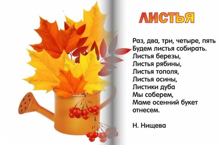 лучших детских стихов про осень
