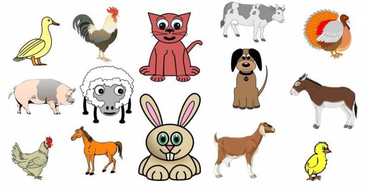 Картинки для детей с животными