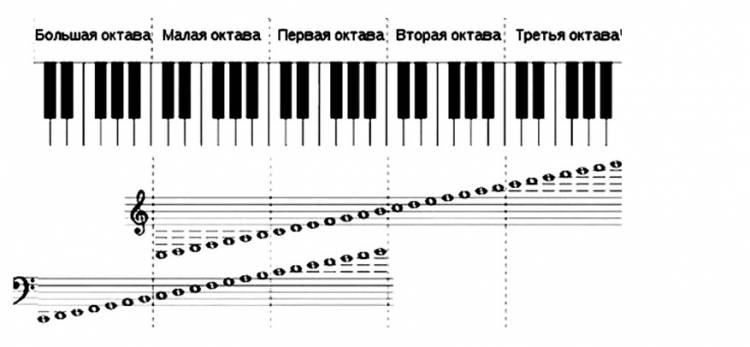 Как научиться читать ноты для пианино, советы для новичков