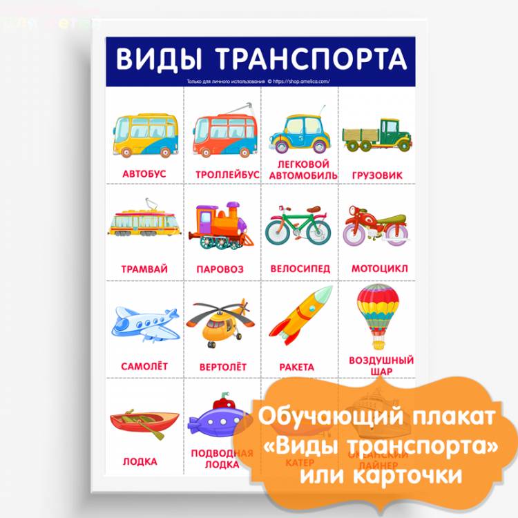 Развивающий плакат Виды транспорта для детского сада скачать