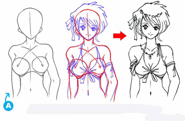 Как нарисовать женскую грудь