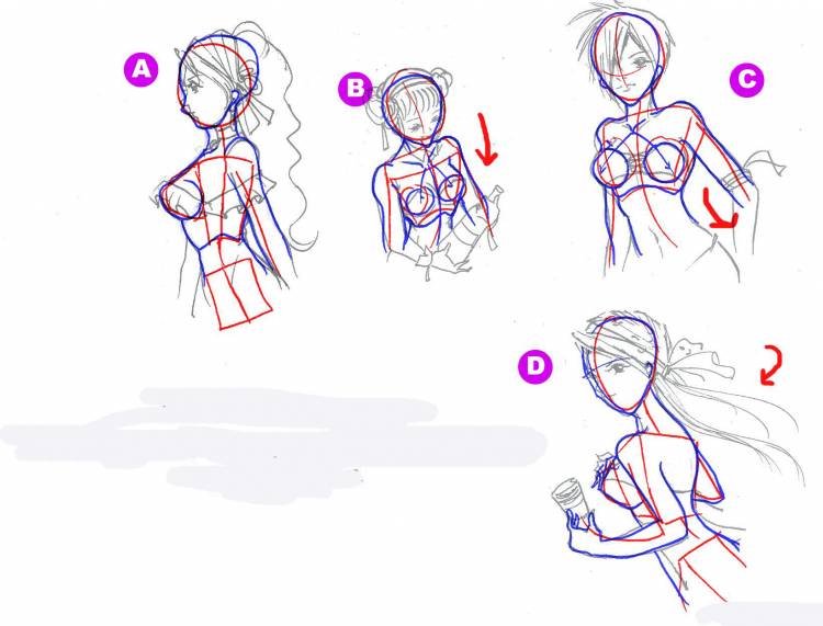 Как нарисовать женскую грудь