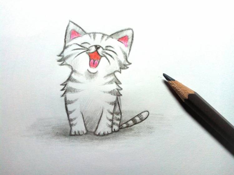 Как нарисовать котенка с милыми глазками поэтапно? Рисунки карандашом поэтапно