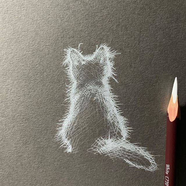 Рисунки белым карандашом на чёрной бумаге 