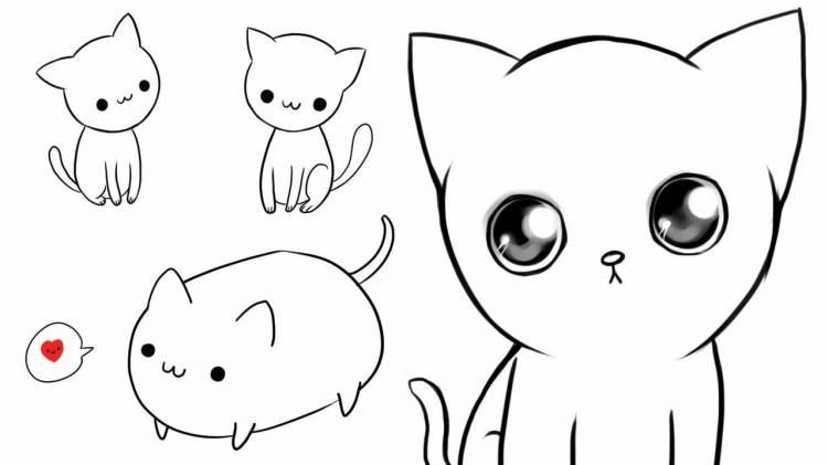 Легкие рисунки для начинающих милые котики 