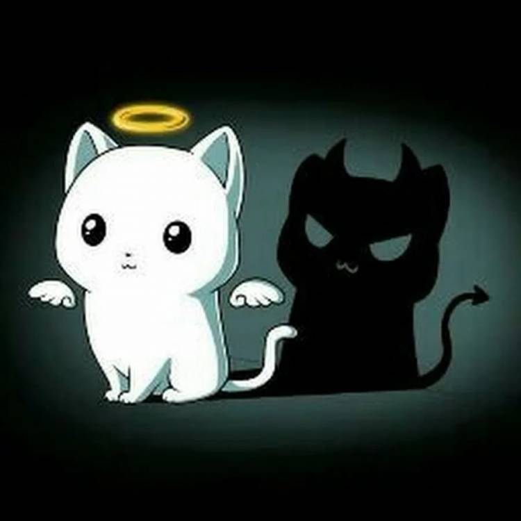 Милые рисунки аниме кошки 