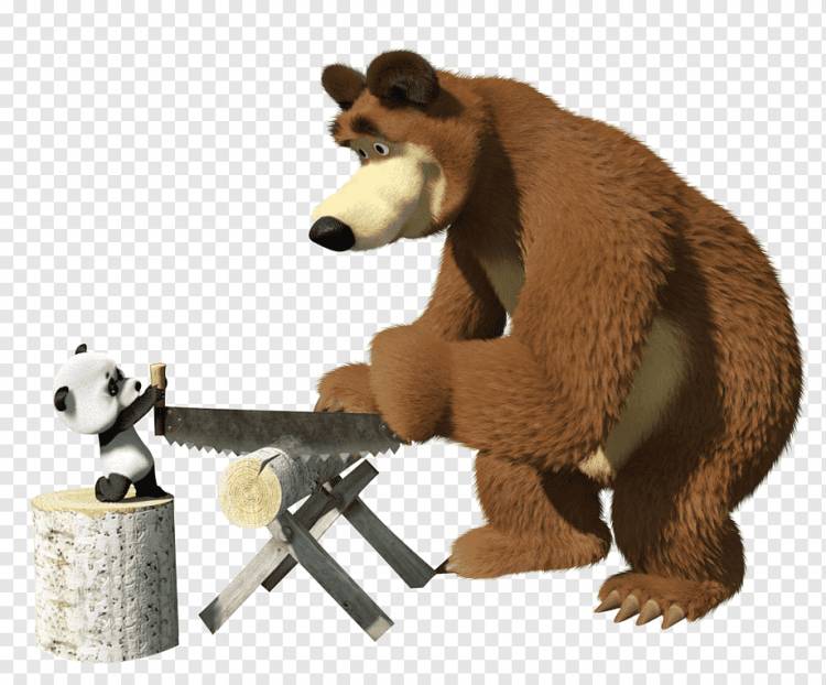анимированная иллюстрация панды и медведя гризли, Маша Медведь, Бумажный день рождения, Маша и Медведь, мультфильм, млекопитающее, carnivoran, клипарт png