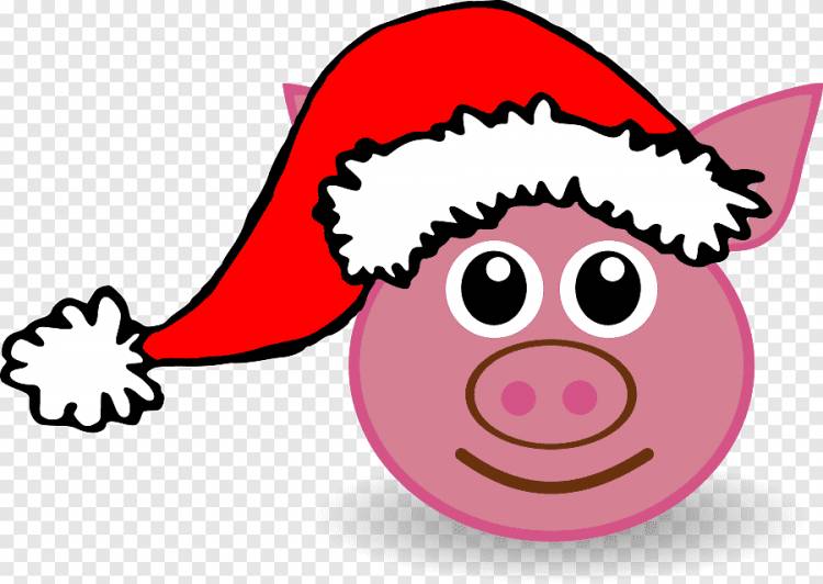 Свинья Дед Мороз Рождество, Свинья, животные, шляпа png