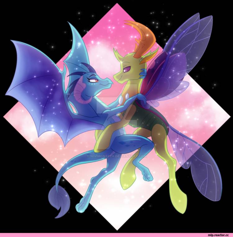 thorax mlp