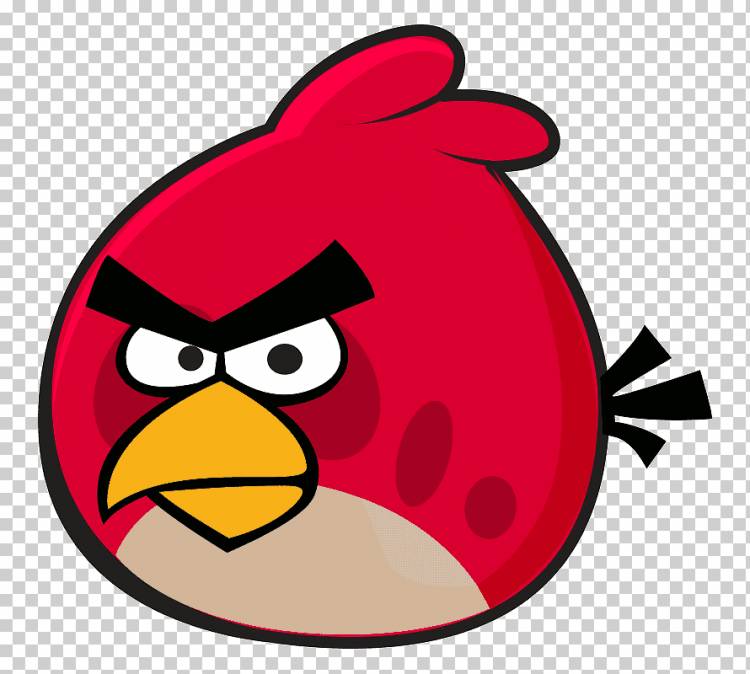 Angry Birds Seasons Красный клюв Смайлик, Птица, животные, наклейка, птица png