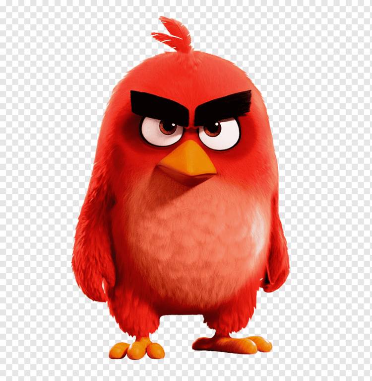 Angry Birds YouTube Рисование рабочего стола, Птица, животные, оранжевый, птица png