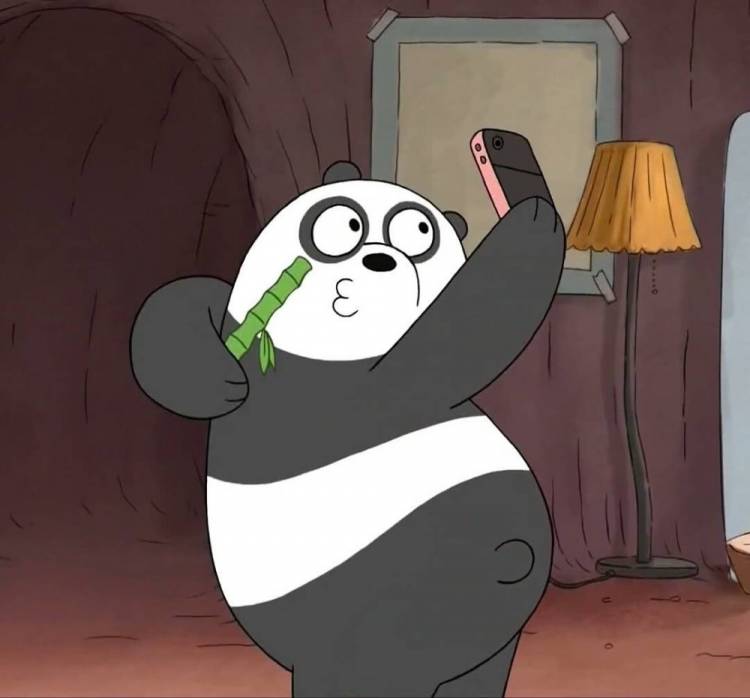 Создать мем Мультфильм, вся правда о медведях панда селфи, Вся правда о медведях