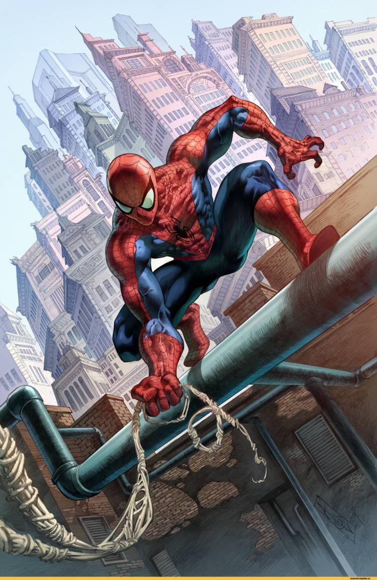 SpiderMan (Человек-паук, Дрюжелюбный сосед, Спайди, Питер Паркер)