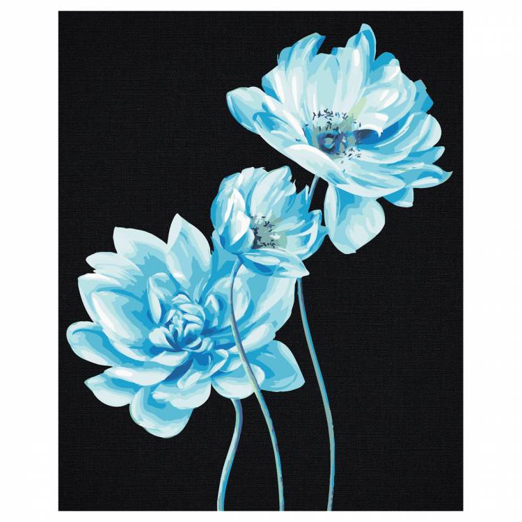 Картина по номерам на черном холсте ТРИ СОВЫ Голубые цветы