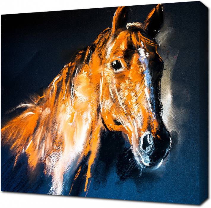 Картина на холсте Портрет лошади на черном фоне