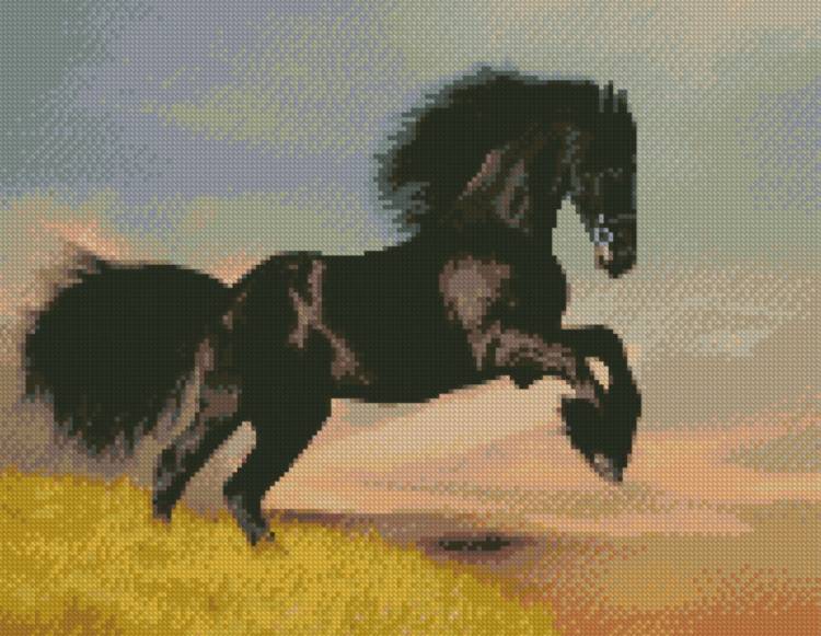 Алмазная мозаика на холсте Черный конь