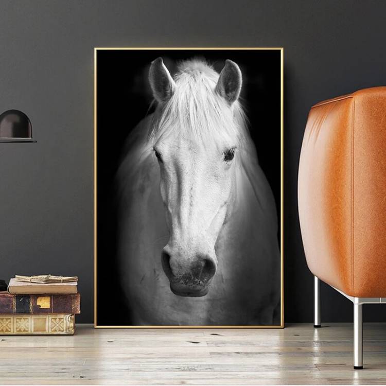 Черный фон Белая лошадь Холст Плакаты и принты декоративное искусство дикие животные холст картины настенные картины для дома