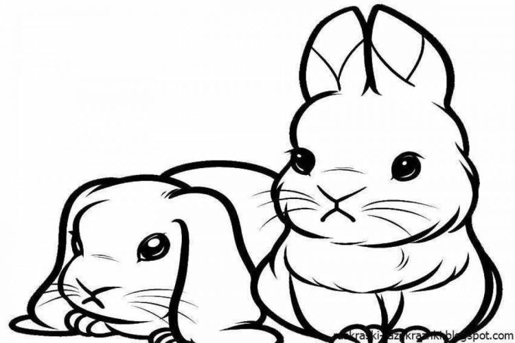 Раскраски Кот и заяц 