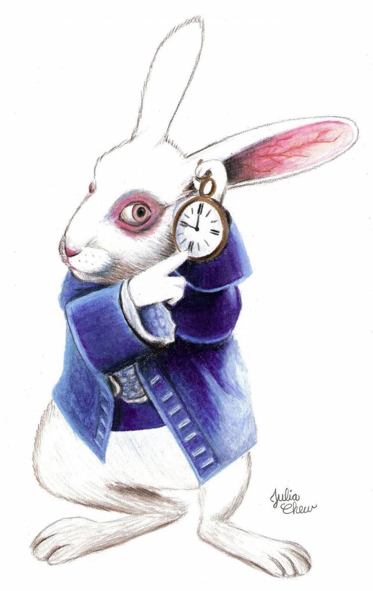 Белый кролик рисунок