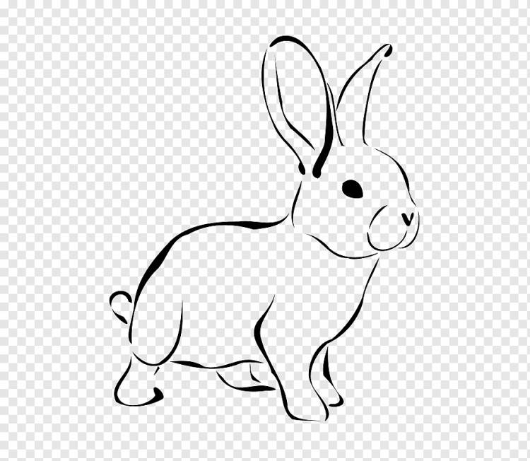 Пасхальный заяц Кролик, рисунок кролика, белый, млекопитающее, животные png