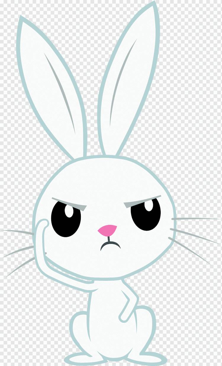 Усы Домашний кролик Пасхальный заяц Заяц Кот, Кот, белый, млекопитающее, лицо png
