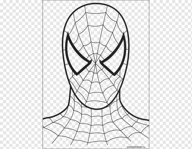 Spider-Man Маска для лица Раскраска, Spider-Man Mask s, лицо, симметрия, голова png